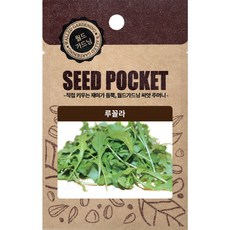 월드가드닝 행복한 텃밭 좋은 씨앗 루꼴라씨 2000개, 1세트 홈인테리어/원예/가드닝 반품 최저가 8,710원