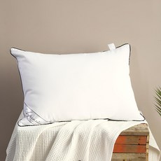 아임리빙 중량업 블랙라인 호텔용 마이크로필에버 베개솜 지퍼형, 화이트, 1개 홈인테리어/침구 반품 최저가 7,460원