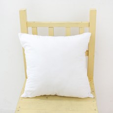 아임리빙 중량업 지퍼형 사각 쿠션솜, 화이트, 1개 홈인테리어/FW 침구샵 반품 최저가 4,390원