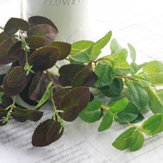 다우에프앤지 애플민트 조화가지, 그린, 5개 홈인테리어/홈데코/디퓨저 반품 최저가 14,040원