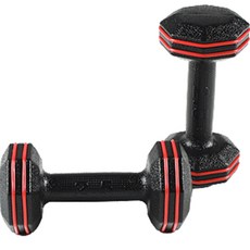 반석스포츠 레드라인 아령 2p, 2.5kg, 2개 헬스/건강식품/홈트레이닝 반품 최저가 11,060원