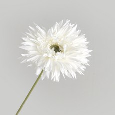 쏘앤영 조화 실거베라 장식품, 화이트, 3개 홈인테리어/홈데코/디퓨저 반품 최저가 10,590원