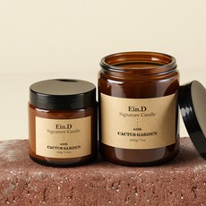 에인디 시그니처 캔들 100g + 200g 세트, 1세트, 칵투스 생활용품/탈취/방향/살충 반품 최저가 16,720원