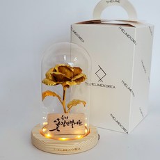 더라임코리아 LED 꽃길 금장미 플라워 유리돔 무드등, 혼합색상 홈인테리어/홈데코/디퓨저 반품 최저가 23,030원