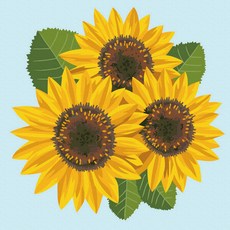 플레이어바웃 명화 그리기 DIY 세트 해바라기 세송이 피포페인팅 20 x 20 cm, 혼합색상, 1개 문구/오피스/미술/화방용품 반품 최저가 3,550원