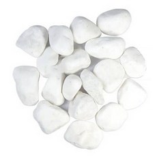 화분월드 백자갈 0호, 1개, 1.5kg 홈인테리어/원예/가드닝 반품 최저가 3,470원