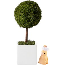 알레 실내 공기정화식물 스칸디아모스 러블리 모스트리 모스그린 + 피규어 랜덤발송, 1개 홈인테리어/식물/나무 반품 최저가 7,320원