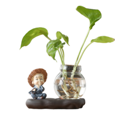 그린 피디 수경 식물 유리 화병 그레이, 1개 홈인테리어/식물/나무 반품 최저가 3,130원