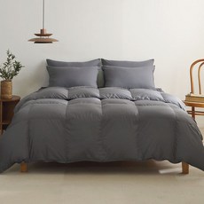 라셀렌 빌리프 폴란드 80 구스다운 차렵이불 600g, 웜차콜 홈인테리어/침구 반품 최저가 167,440원