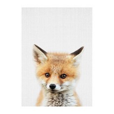 아기동물 실사화 배전함 일러스트 패브릭 포스터 여우 홈인테리어/그림/사진 반품 최저가 2,320원