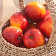 플라워트리 천도복숭아 모형과일 2개, 혼합색상 undefined/undefined 반품 최저가 830원