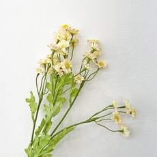 베누디 마트리카리아 데이지 꽃 가지 조화, 옐로피치 홈인테리어/홈데코/디퓨저 반품 최저가 4,480원