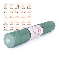 아리프 가든 EVA 폼롤러, 리프그린, 1개 스포츠/레저/헬스/요가/댄스 반품 최저가 20,330원