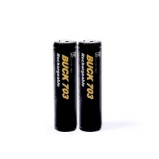 벅703 18650 충전용 배터리 2600mAh, 블랙, 2개 스포츠/레저/캠핑전문관 반품 최저가 10,010원