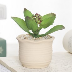 주앙오브제 수드 화분 01 A, 1개 홈인테리어/식물/나무 반품 최저가 5,820원