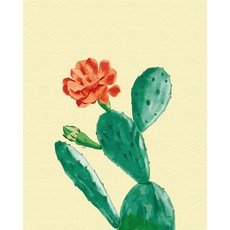 플레이어바웃 유화 피포페인팅 DIY 명화 그리기 40 x 50 cm 페어 선인장, 혼합색상, 1개 문구/오피스/미술/화방용품 반품 최저가 10,350원