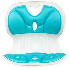 더블와이홈데코 허리를 편안하게 받쳐주는 간편한 의자, 그린 문구/오피스/사무용품 전문관 반품 최저가 11,020원