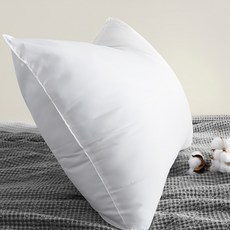 네모라인 국내생산 지퍼형 구름베개솜, 1개 홈인테리어/침구 반품 최저가 6,160원