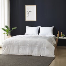 구스앤홈 호텔 폴란드 프리미엄 썸머 구스다운 이불 PG90 300g, 화이트 홈인테리어/침구 반품 최저가 157,450원