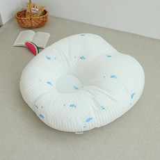 아솜느 유아용 듀라론 냉감 역류방지 쿠션, 돌고래 출산/유아동/매트/안전용품 반품 최저가 55,420원