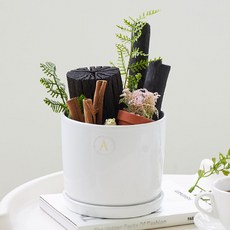 아스파시아 더블 팟 시나몬 숯화분, 1개 홈인테리어/원예/가드닝 반품 최저가 23,310원