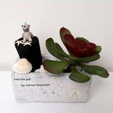 아스파시아 베어스타 다육이 사각시멘트 숯화분 세븐럭, 1개 홈인테리어/원예/가드닝 반품 최저가 11,950원