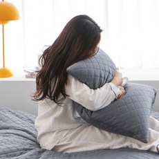 베이직톤 진드기케어 통세탁 호텔 베개, 그레이, 1개 홈인테리어/침구 반품 최저가 15,780원