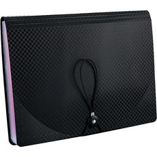 동아피엠에스 고급체크커버 레인보우 인덱스 도큐먼트 파일 A4, 13분류 블랙, 1개 문구/오피스/바인더/파일 반품 최저가 4,880원