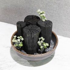 가꾸지오 도자기 수반 중 과 참숯, 1세트 홈인테리어/원예/가드닝 반품 최저가 20,170원