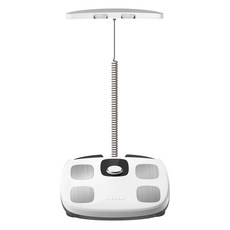 인바디 다이얼 체지방계, H30NWi, 화이트, 1개 생활용품/건강/의료용품 반품 최저가 271,420원