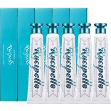 루치펠로 미스틱포레스트 치약, 100g, 5개 생활용품/구강/면도 반품 최저가 24,700원