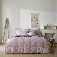 구스앤홈 헤링스 폴란드 구스 차렵 이불 200g, 핑크 홈인테리어/침구 반품 최저가 204,840원