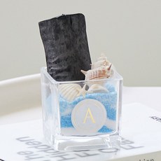 아스파시아 오션뷰 투명 숯화분 랜덤발송, 1개 홈인테리어/원예/가드닝 반품 최저가 9,740원