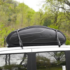 오토반 블랙버드 하이엔드 루프백, 블랙, 1개 자동차용품/RV/아웃도어 반품 최저가 205,590원