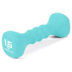 아이워너 네오프렌 사각 아령, 1.5kg, 1개 헬스/건강식품/헬스/요가용품 반품 최저가 4,800원