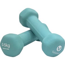 밸런시스 미용아령 민트, 0.5kg, 2개 헬스/건강식품/홈트레이닝 반품 최저가 6,160원