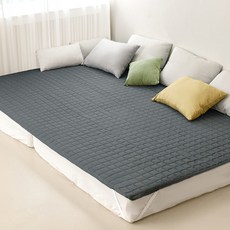 나노케어 알러브릭 패밀리 누빔패드 고정밴드형, 어반차콜 홈인테리어/FW 침구샵 반품 최저가 50,160원