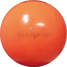 하타치 SHINE 파크골프 2피스 공 PH3400, 오렌지, 1개입, 1개 스포츠_레저/골프 반품 최저가 9,540원