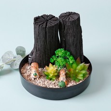 morningscent 제올라이트 참숯 다육이 조화 DIY 세트 A타입, 1세트 홈인테리어/원예/가드닝 반품 최저가 13,810원