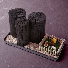 아침향기 제올라이트 참숯 다육이 조화 DIY 세트 C타입, 1세트 홈인테리어/원예/가드닝 반품 최저가 31,060원