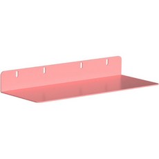 퍼니셀러 타공판 액세서리 평평한 선반 L, 1개, 핑크 문구/오피스/보드/칠판/광고 반품 최저가 10,820원
