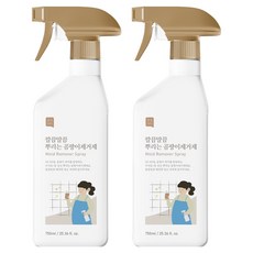 쉼표365 깔끔말끔 뿌리는 곰팡이제거제, 750ml, 2개 생활용품/청소세제 반품 최저가 14,670원