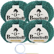 니뜨 부클레옹 뜨개실 50g x 4p + 줄바늘 5mm 세트, 319 터키, 1개 홈인테리어/DIY 패키지 반품 최저가 13,590원