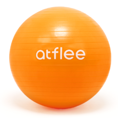 앳플리 GB 안티버스트 짐볼, 탠저린 오렌지 헬스_건강식품/헬스/요가용품 반품 최저가 13,420원