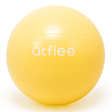 앳플리 GB 안티버스트 짐볼, 버터 옐로우 스포츠_레저/홈트레이닝 반품 최저가 19,710원