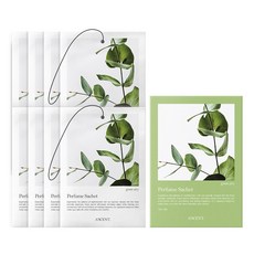 에이센트 퍼퓸 사쉐 M 본품, 10g, 8개, 그린에어리 홈인테리어/홈데코/디퓨저 반품 최저가 8,010원