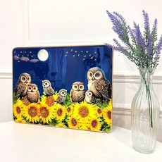 쿠칭아일랜드 돈벼락 재물가득 부자되는 액자 큰재물해바라기부엉이, 골드 완구/취미/수집품 반품 최저가 20,230원