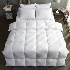 라셀렌 순면 헝가리 70 구스다운 이불 550g, 화이트 홈인테리어/침구 반품 최저가 228,780원