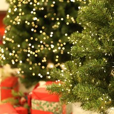 USB 전구페이지, LED지네전구 - USB형, USB 300구 녹색선웜, 1개, 일자형 홈인테리어/조명/스탠드 반품 최저가 9,320원