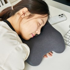 베네폼 낮잠 베개 쿠션, 차콜 홈인테리어/쿠션/방석 반품 최저가 20,500원